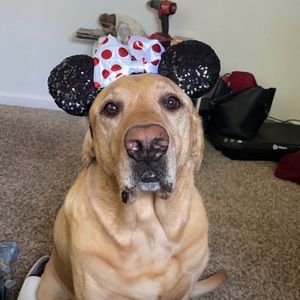 Meet your Posher, Melanie